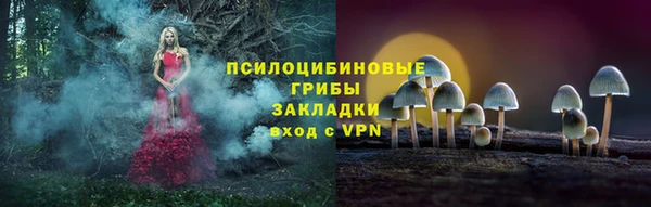 крисы Алзамай