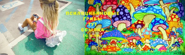 прущая мука Алексин